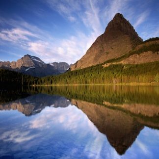 The Stillness Programme