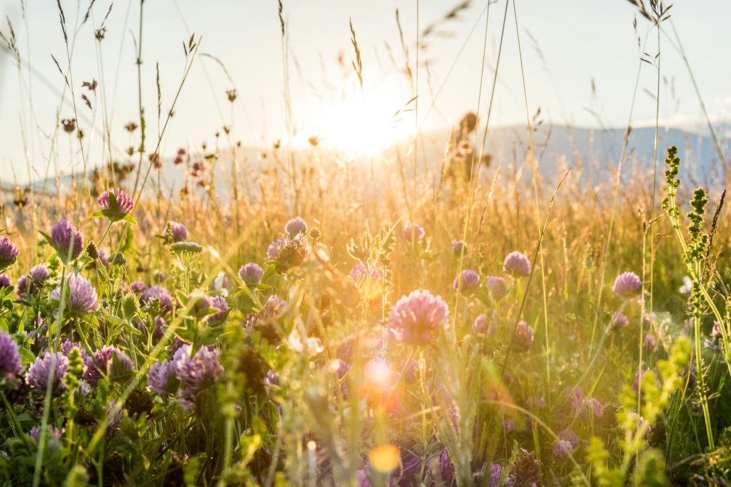 The Art of Self Healing - Healing Meditation